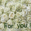 Белые розы
Получен подарок 06.11.2013, 02:24 от Mari
Сообщение: Твои любимые цветы - Mari