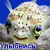 Рыбка-улыбашкa
Получен подарок 15.05.2025, 08:36 от Шмигирилова
Сообщение: Соппсна, да - Шмигирилова