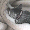 котик
Получен подарок 11.05.2026, 21:01 от мотылёк - мотылёк