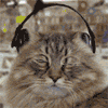 cat
Получен подарок 26.04.2026, 23:47 от Длинношеее - Длинношеее
