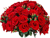 roses
Получен подарок 18.07.2024, 18:59 от Зуав
Сообщение: Рад сохранности форума! - Зуав