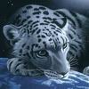 tiger - Тихий_Тигрр