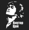 Виктор Цой
Получен подарок 27.06.2025, 19:33 от Нел - Нел