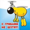 ...
Получен подарок 17.05.2026, 18:20 от мотылёк - мотылёк