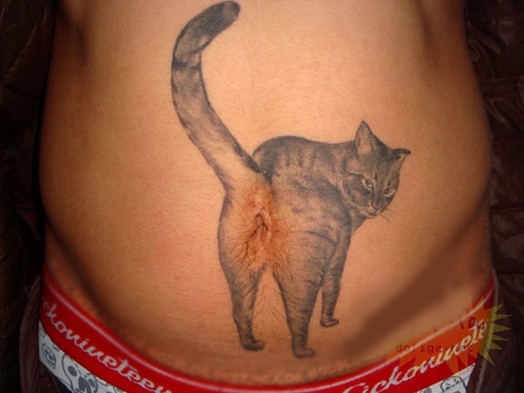 Татуировка кошка на животе
