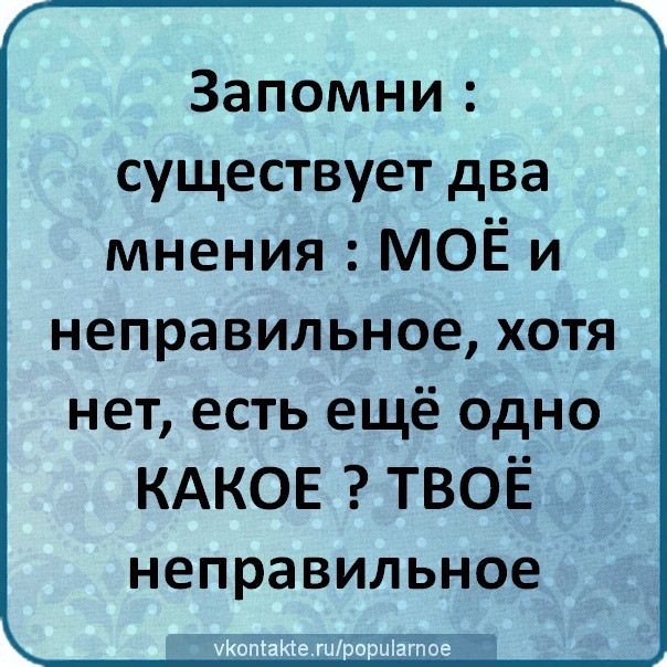 1 мнение. Есть два мнения. Существует два мнения. Есть только два мнения мое и неправильное. Есть мое мнение и неправильное.