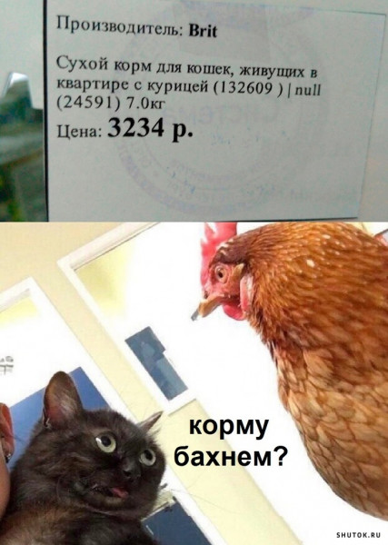 gdfwqbqhjxcr4zrddjp.jpg